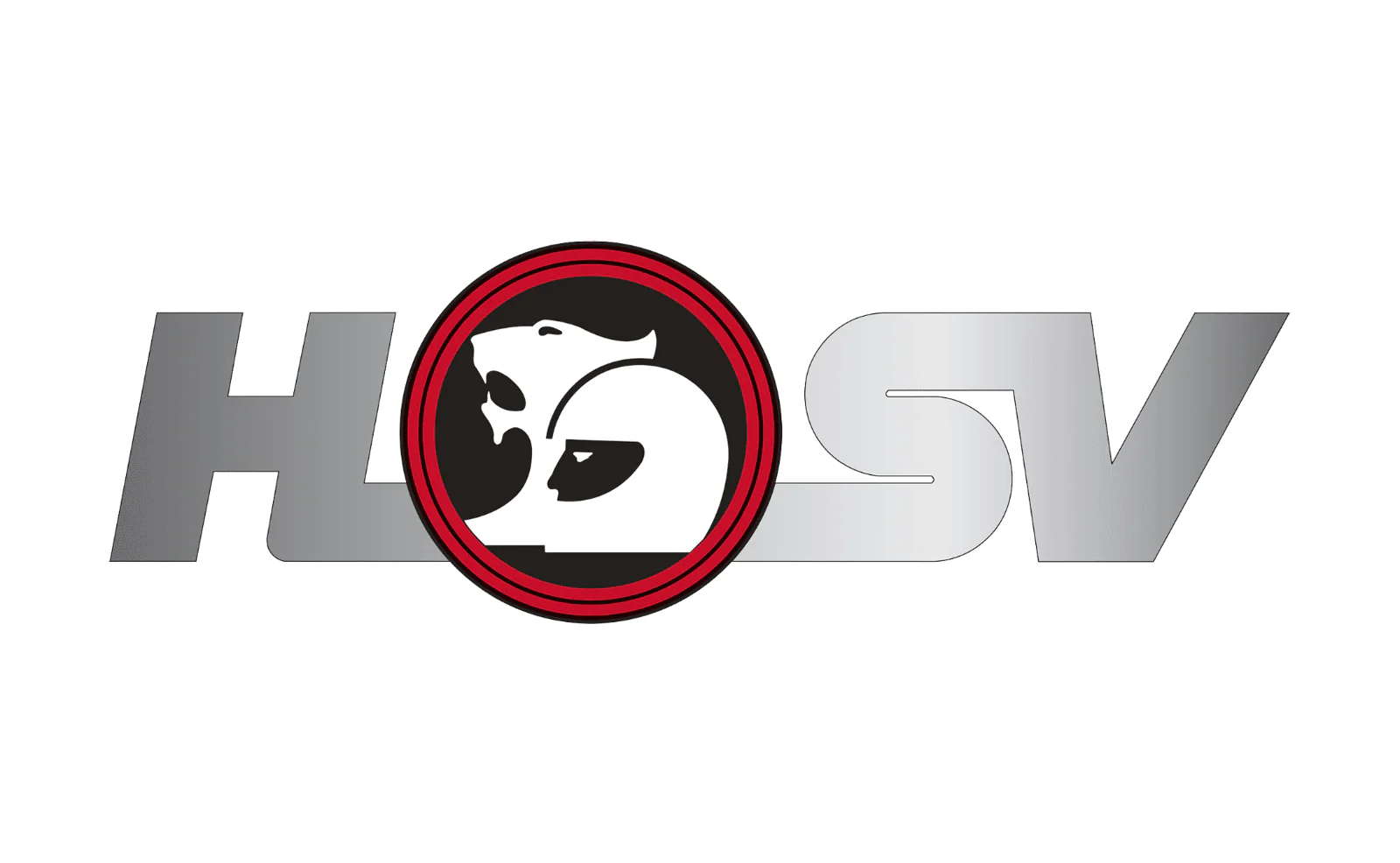 HSV Colorado Sports CAT  MY18 Genuine Mag Wheel Centre Cap Black # 10B-176101-F - Image 3