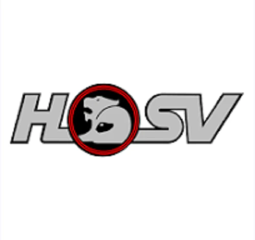 HSV VE E1 R8 Clubsport Badge Helmet Lion Helmet for Bonnet / Boot Sedan - Image 2