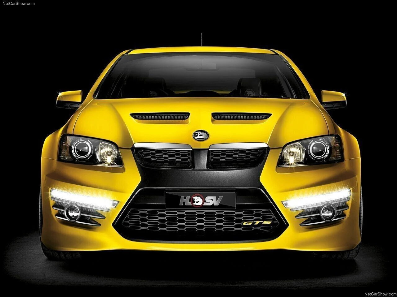 HSV VE VF GTS Front Bumper Badge Lower Grille E1 E2 E2 Yellow/Black Genuine - Image 2