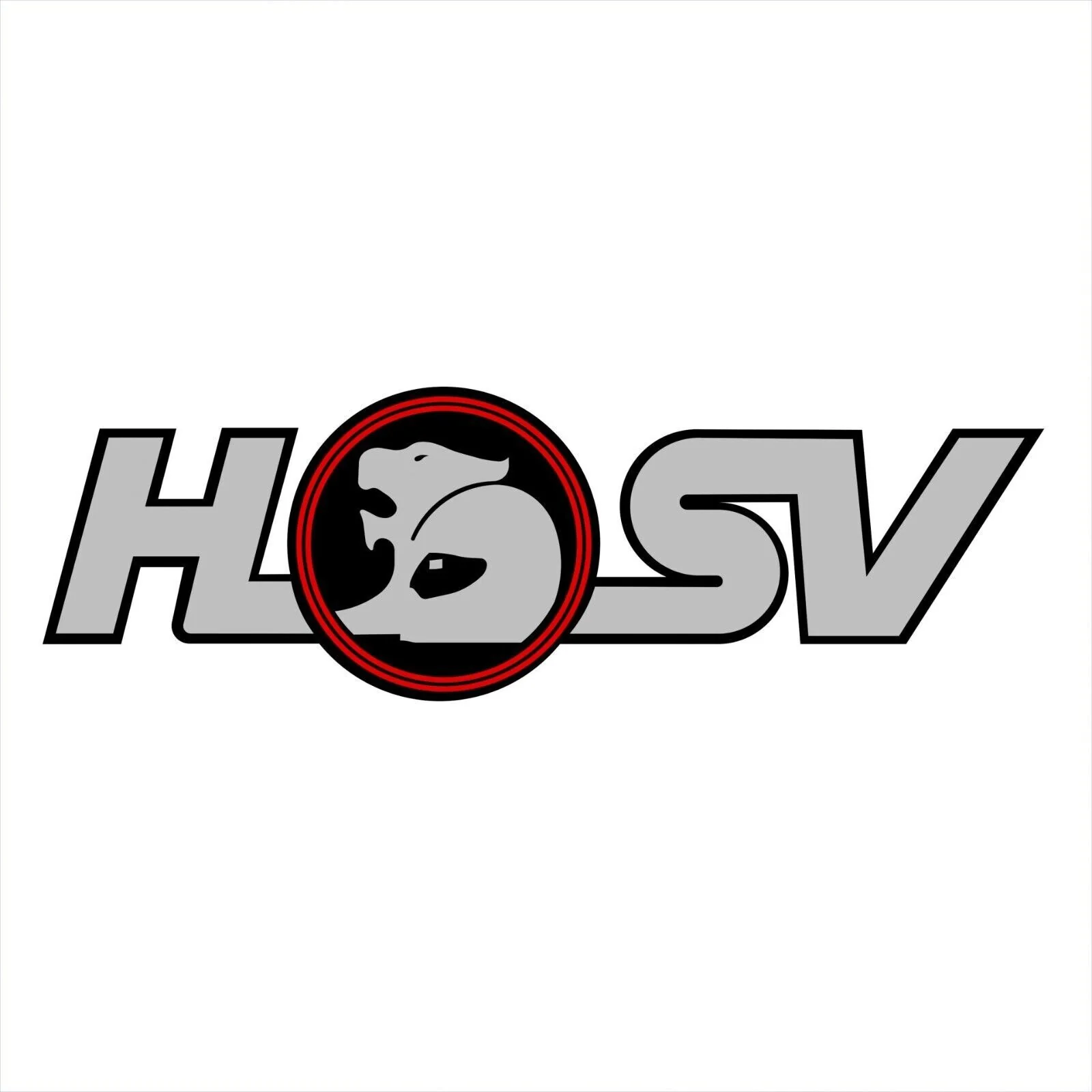 HSV VF GTS Clubsport R8 GEN-F2 Lo-Line Lip Bootlid Spoiler Genuine E08-130601 - Image 3