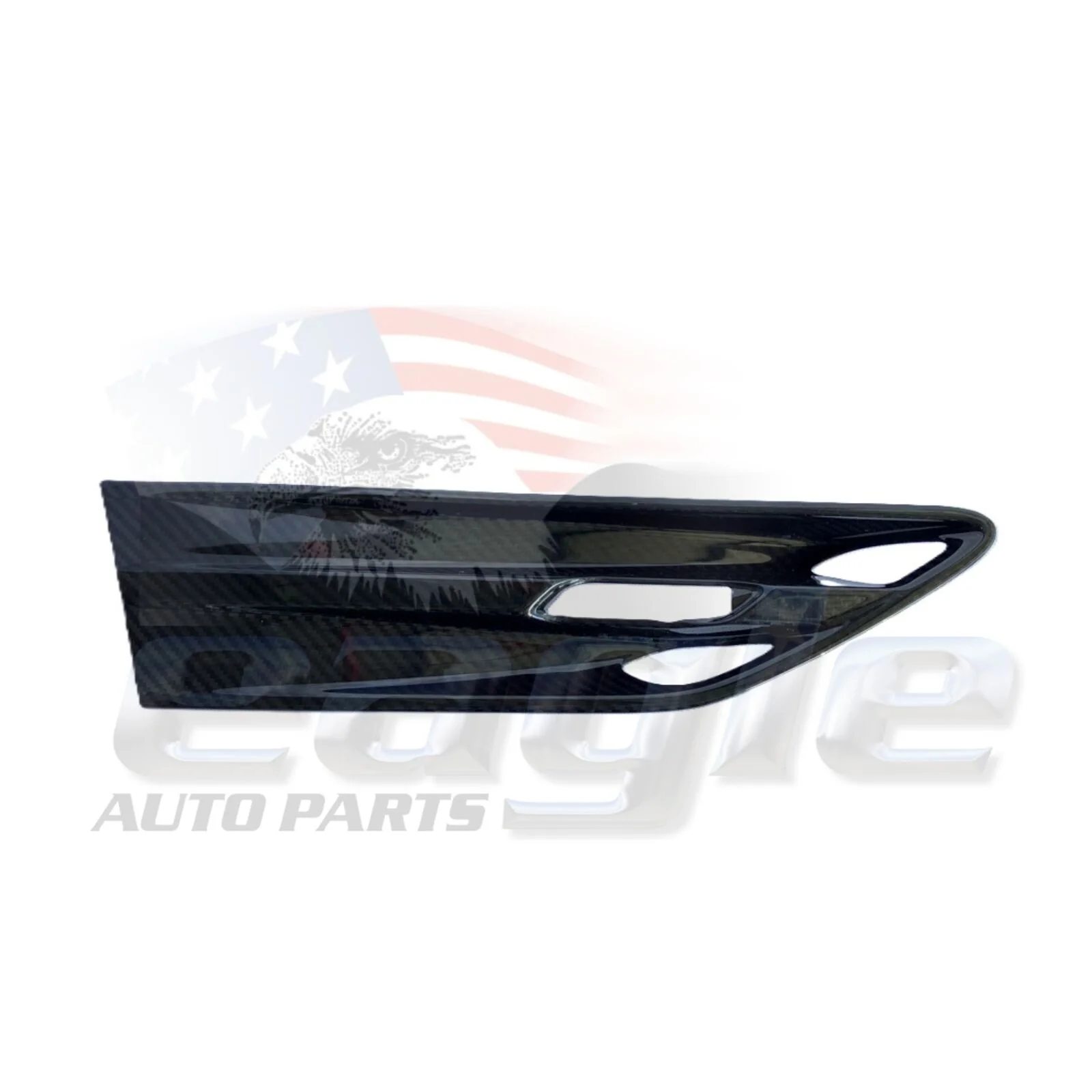 HSV VF GTSR W1 RIGHT HAND FRONT GUARD CARBON FIBRE FLUTE # B08-160702